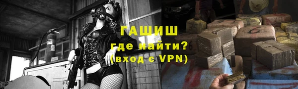 сатива Беломорск