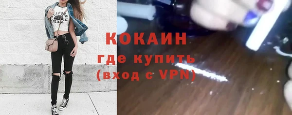 сатива Беломорск