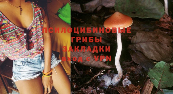 MDMA Premium VHQ Белокуриха