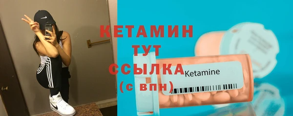 сатива Беломорск