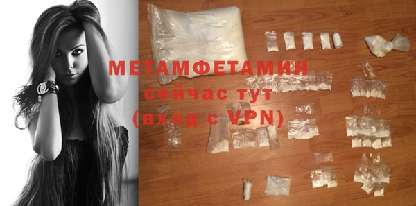 сатива Беломорск
