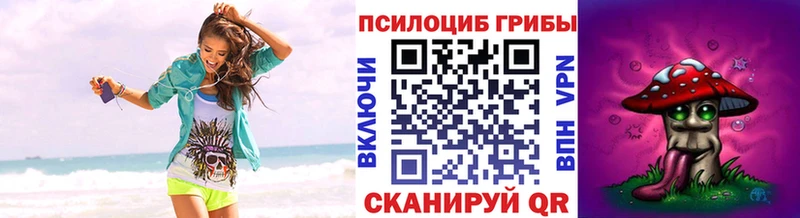 Псилоцибиновые грибы Psilocybe  дарк нет как зайти  Волгореченск 