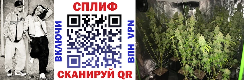 купить  цена  Волгореченск  Бошки Шишки Amnesia 